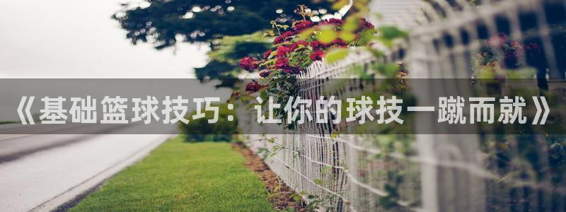 vsport体育官网下载是干嘛的公司：《基础篮球技巧