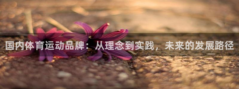 vsport体育官方正版app娱乐首页官网下载：国内体育运动
