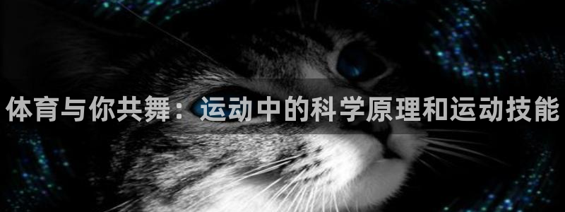 vsport体育官网下载平台注册要钱吗安全吗：体育与