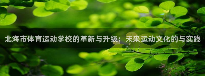 vsport体育官方正版app新能源：北海市体育运动学校的革