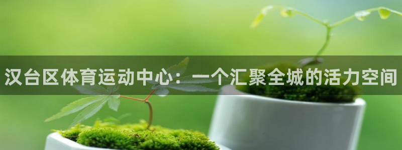 vsport体育官方正版app神州：汉台区体育运动中