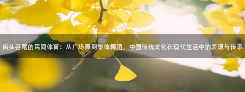 vsport体育官方正版app娱乐是那个系列的台子