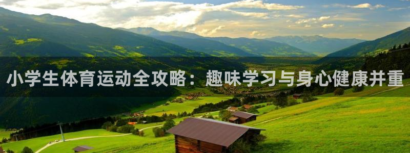 vsport体育官网下载平台是正规平台吗安全吗：小学生体育运