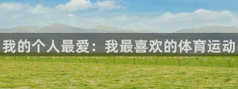 vsport体育官网下载平台是正规平台吗知乎：我的个人最爱：