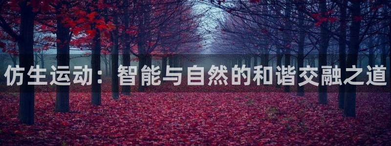 vsport体育官网下载平台APP：仿生运动：智能与