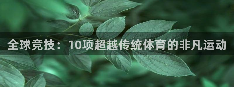 vsport体育官方正版app娱乐首页网站大全：全球竞技：1