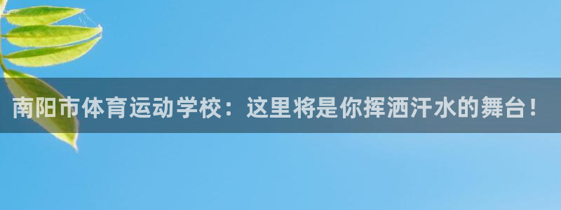 vsport体育官网下载平台注册要钱吗：南阳市体育运