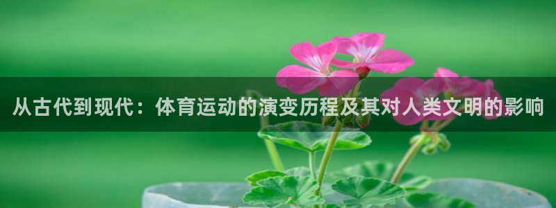vsport体育官网下载平台是正规平台吗安全吗：从古