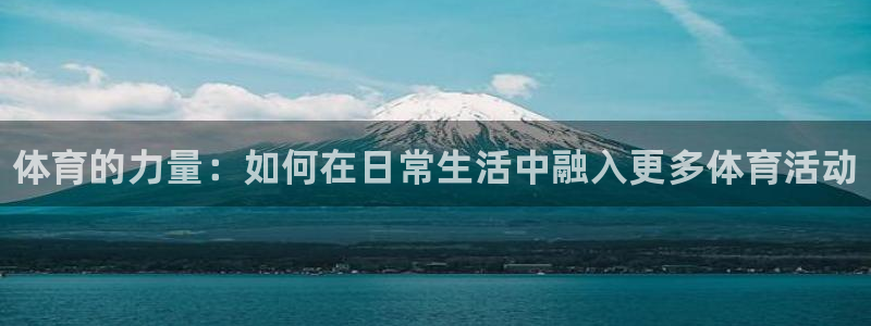 vsport体育官方正版app娱乐网站