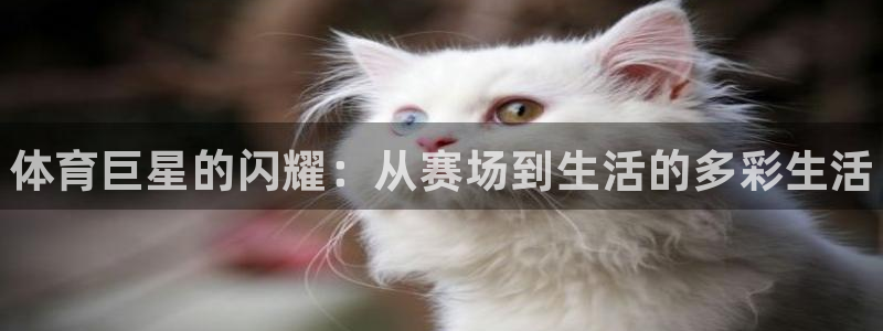 vsport体育官方正版app娱乐网站：体育巨星的闪耀：从赛