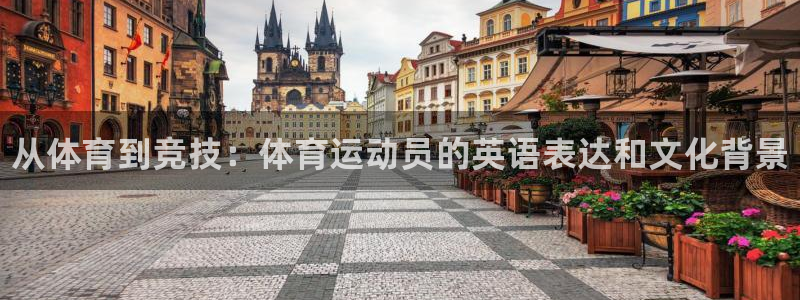 vsport体育官网下载招商电话地址：从体育到竞技：体育运动