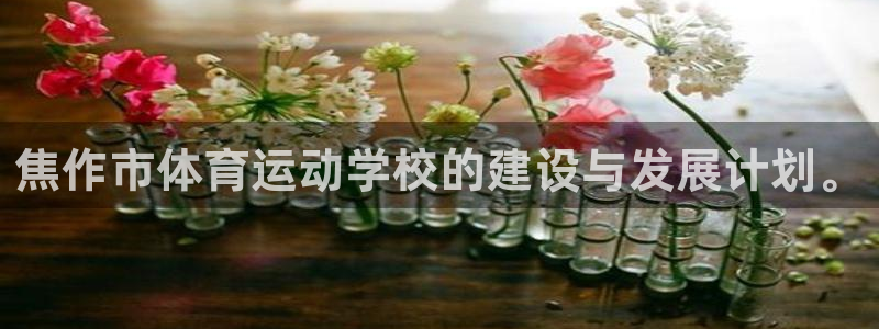 vsport体育官方正版app娱乐首页网站大全：焦作市体育运
