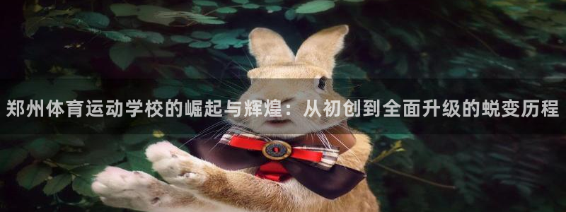 vsport体育官网下载是干嘛的公司：郑州体育运动学