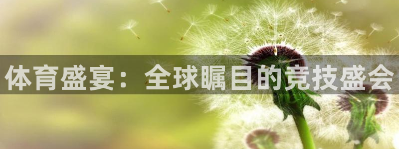 vsport体育官网下载官方客服电话：体育盛宴：全球