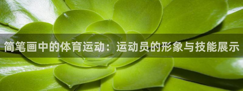 vsport体育官网下载平台假的吗是真的吗：简笔画中