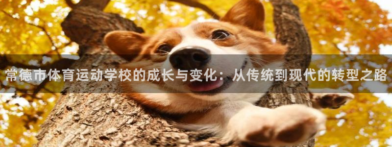 vsport体育官网下载平台APP：常德市体育运动学