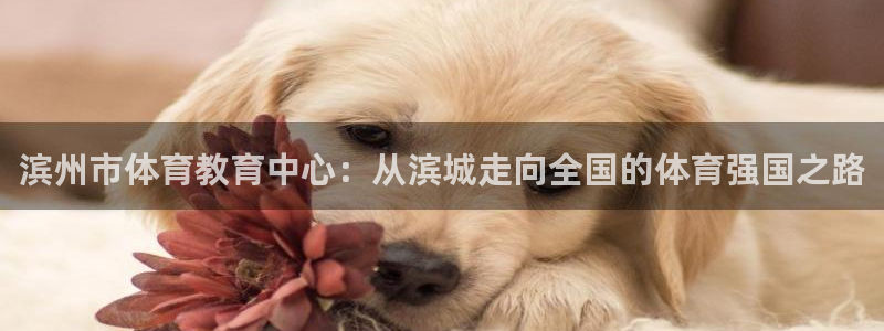 vsport体育官方正版app集团官网网址：滨州市体