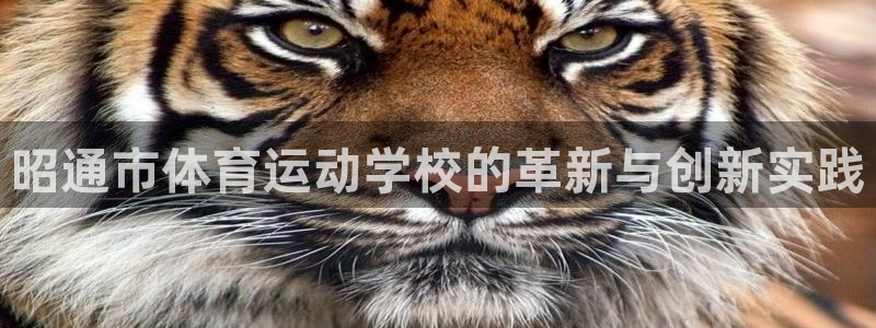 vsport体育官方正版app娱乐：昭通市体育运动学