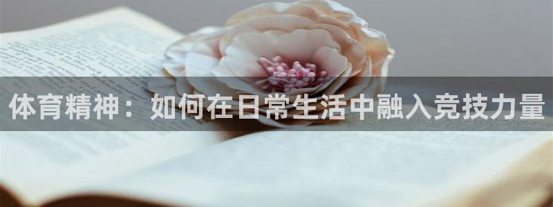 德国vsport体育官方正版app集团：体育精神：如