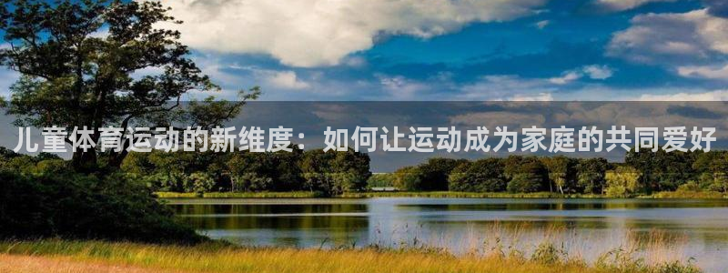 vsport体育官方正版app集团官网网址