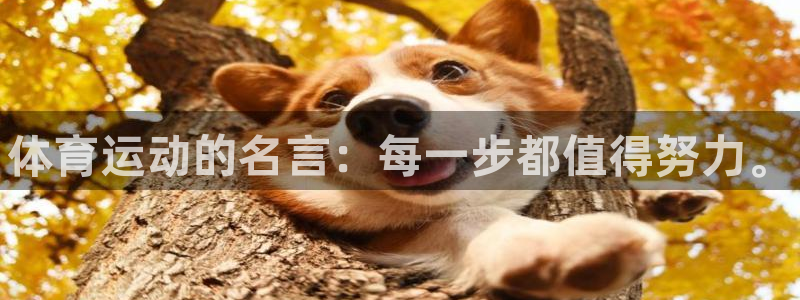 vsport体育官方正版app代理：体育运动的名言：每一步都