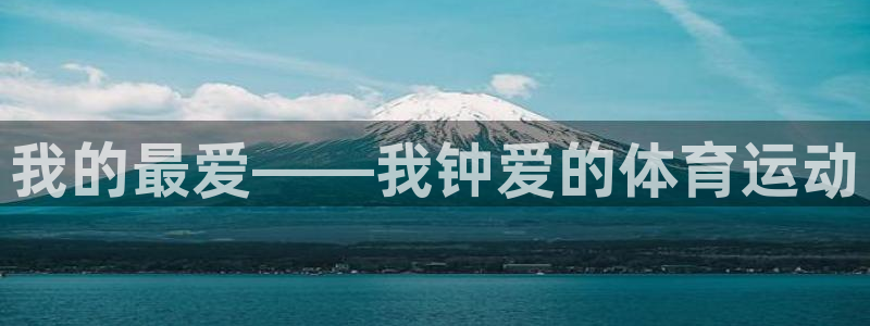 vsport体育官网下载是干嘛的公司：我的最爱——我钟爱的体