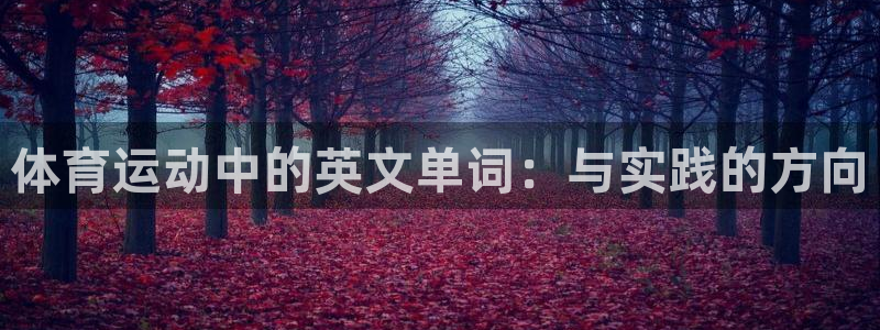 vsport体育官方正版app娱乐40996：体育运动中的英