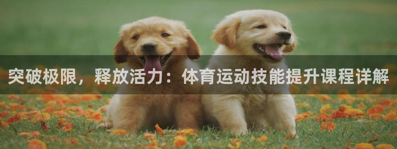 vsport体育官网下载招商：突破极限，释放活力：体育运动技