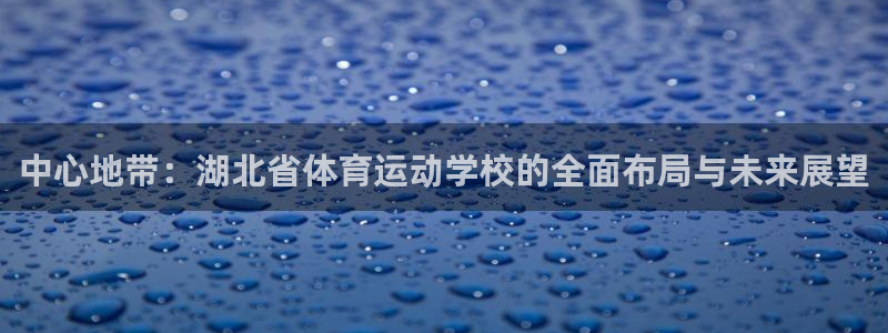 vsport体育官方正版app新能源：中心地带：湖北