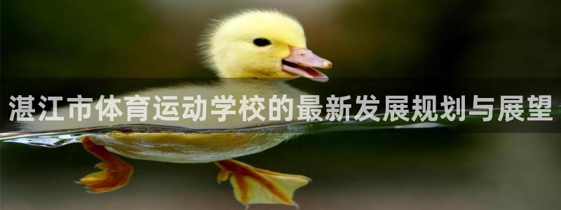 vsport体育官网下载软件:湛江市体育运动学校的最新发展规