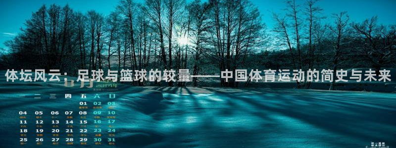 vsport体育官网下载招商电话是多少号码:体坛风云:足球与