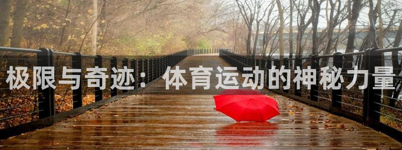 vsport体育官网下载平台:极限与奇迹:体育运动的神秘力量