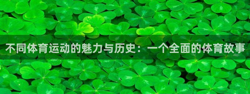 vsport体育官方正版app集团logo