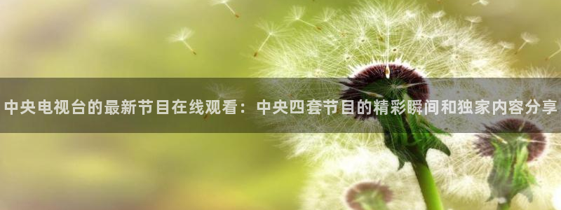 178直播高清体育直播：中央电视台的最新节目在线观看：中央四套节目的精彩瞬间和独家内容分享