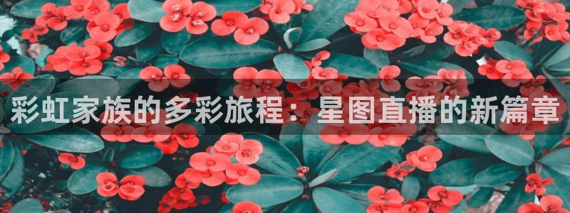 178免费体育赛事直播：彩虹家族的多彩旅程：星图直播的新篇章