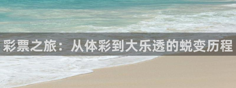 178篮球体育直播：彩票之旅：从体彩到大乐透的蜕变历程