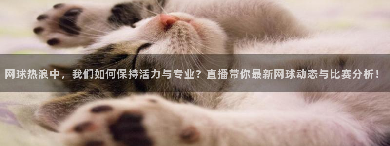 178足球直播雨燕：网球热浪中，我们如何保持活力与专业？直播带你最新网球动态与比赛分析！