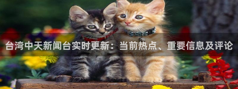 178直播体育nba：台湾中天新闻台实时更新：当前热点、重要信息及评论