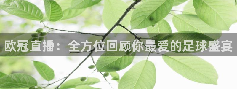 178篮球直播体育直播：欧冠直播：全方位回顾你最爱的足球盛宴