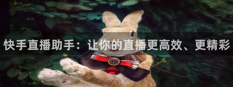 178直播体育：快手直播助手：让你的直播更高效、更精彩