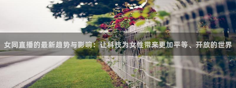 雨燕体育直播178