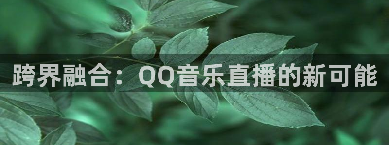 178体育直播观看在线