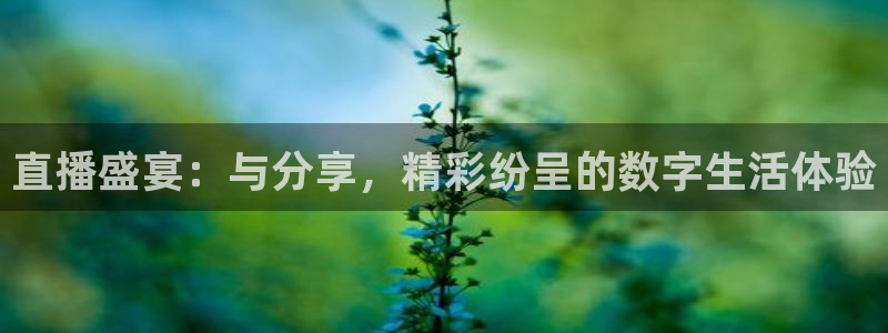 178nba直播免费观看直播